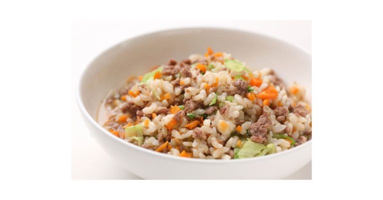 Best Dog Food for Senior Dogs to Gain Weight: Complete Nutrition Strategy for Healthy Aging